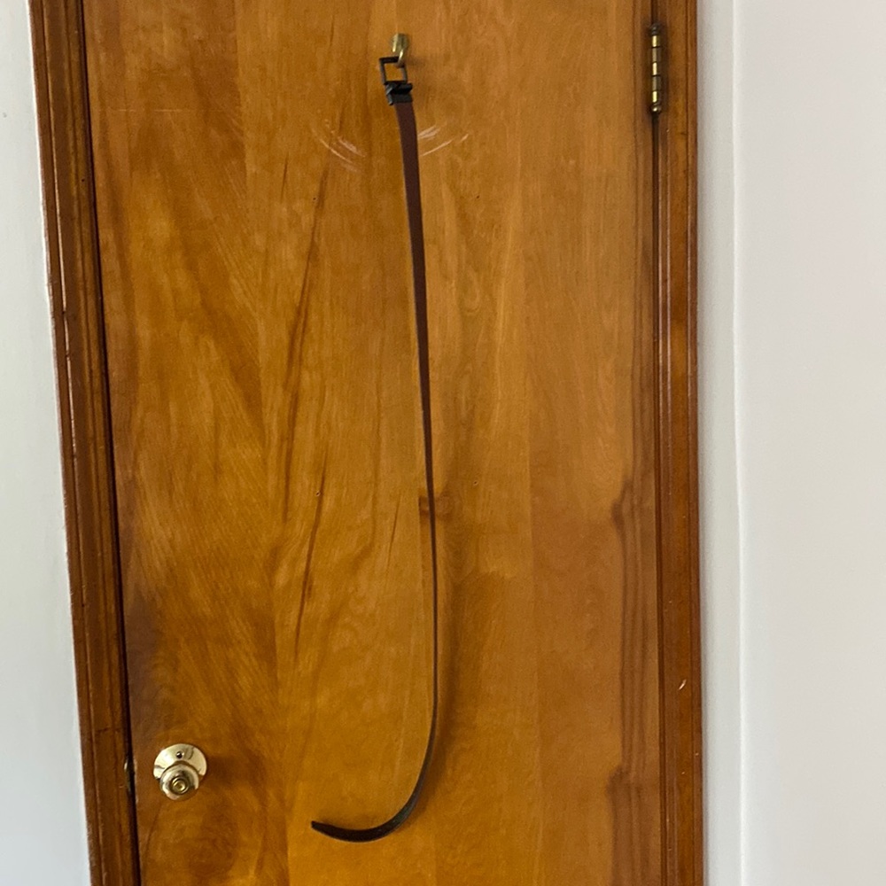 Belt